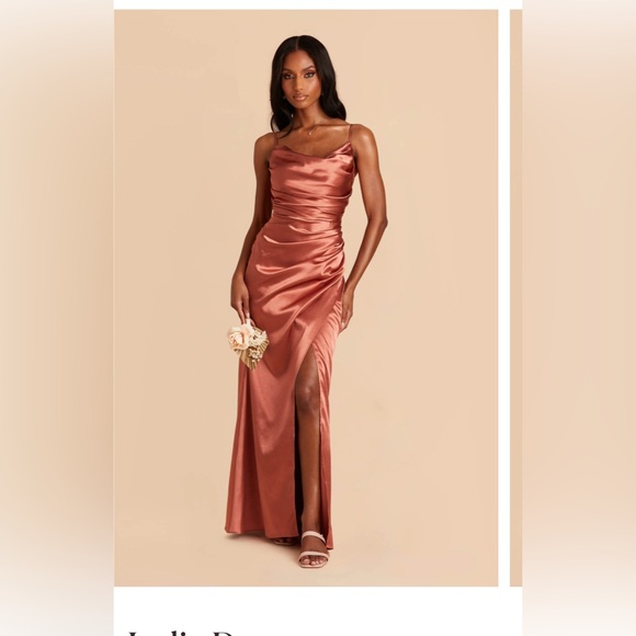 Birdy Grey Lydia Dress Terracotta Color in Shiny Satin - Picture 3 of 4